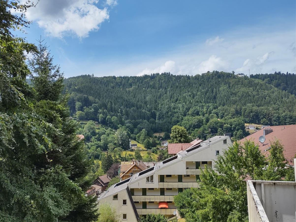 Ein-Zimmer Apartment Mit Aussicht Bad Wildbad Luaran gambar